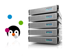 VPS KVM VPS KVM