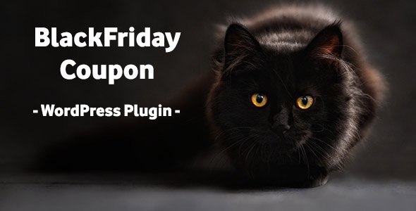Read more about the article BlackFriday Coupon – WordPress Plugin