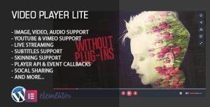 Read more about the article Video Player Lite Elementor Widget
