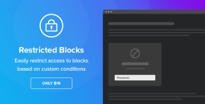 Read more about the article Restricted Blocks