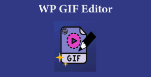 Read more about the article WP GIF Editor