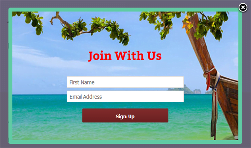 Mailchimp Custom Popup Subscription for wordpress - 12
