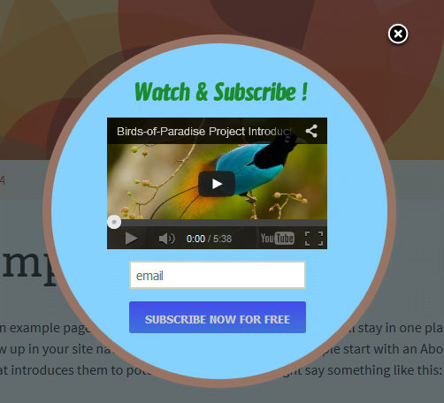 Mailchimp Custom Popup Subscription for wordpress - 14