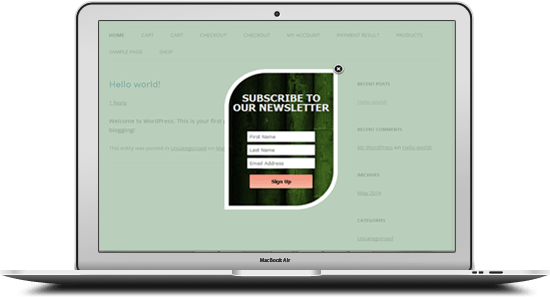 Mailchimp Custom Popup Subscription for wordpress - 10